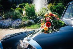 Hochzeit-Auto-Brunnen